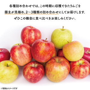 【先行予約・数量限定】三村観光りんご園の奥久慈りんご（各種詰め合わせ）約3kg【10月中旬頃順次発送予定】｜茨城県 大子町 林檎 旬 果物 フルーツ 果実 果汁 ギフト 贈答（BX001-1）
