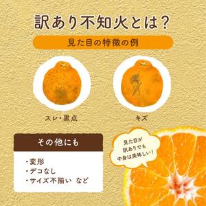 【先行受付】＜訳あり＞瀬戸内 島の不知火 約5kg 白鷺農園《2027年2月下旬～4月上旬頃出荷》 デコポン と同品種  旬 柑橘 フルーツ 果物 しらぬい デコポン わけあり 規格外 不知火 164003