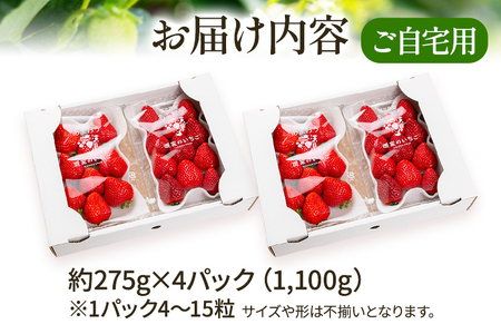 いちご あまおう 約275g×4P R9年1月下旬以降発送 いちご