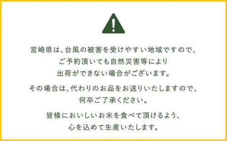 【3か月定期便】 無洗米 ＜チャック付＞ 米 国産 令和7年産 ヒノヒカリ 宮崎県産（5kg×3回）