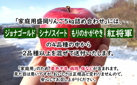 りんご 訳あり5kg16～18個10月限定 りんご
