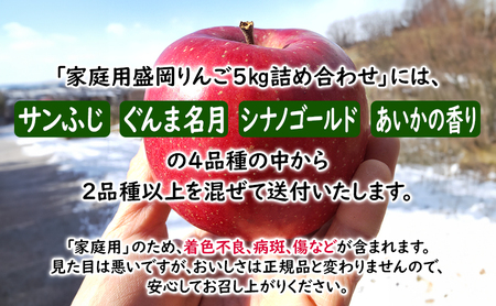 訳あり 盛岡りんご りんご 5kg 16～18個 家庭用 11月限定 下久保農園 shitakubo003
