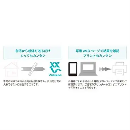 葉酸代謝遺伝子検査キット【1533148】