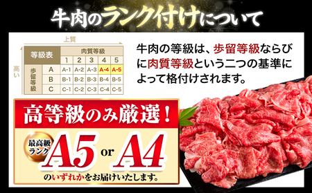 牛肉 切り落とし くまもと黒毛和牛 A4 または A5 1000g 500g × 2 1kg 牛肉 冷凍 《11月下旬-12月下旬頃出荷》冷凍庫 個別 取分け 小分け 個包装 しゃぶしゃぶ すき焼き ブランド牛 黒毛和牛 牛 st-p
