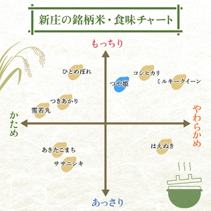 令和7年産 つや姫 5kg×4 計20kg 精米 【最上ノ米蔵】 山形県産 特別栽培米 こめ お米 米 白米 F3S-2705