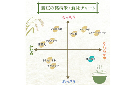 令和7年産 はえぬき 5kg×2 計10kg 無洗米 【最上ノ米蔵】 山形県産 こめ お米 米 白米 F3S-2678