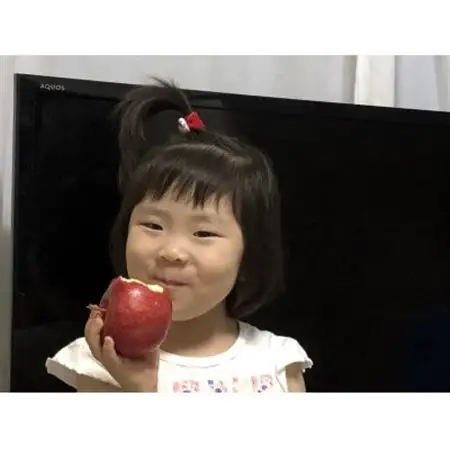 早生ふじ＆トキ　家庭用　約5キロ　中生種りんご　一押し詰合せ!　10月上旬から発送予定_果物・フルーツ りんご  リンゴ 林檎_【配送不可地域：離島】【1430901】