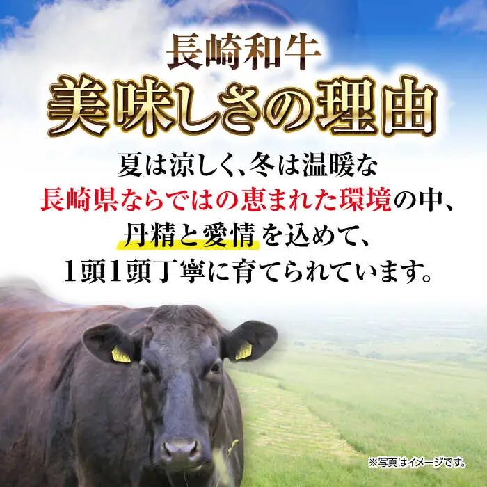 【全6回定期便】【A4～A5ランク】長崎和牛 焼肉用 1kg（500g×2パック）《壱岐市》【株式会社MEAT PLUS】肉 牛肉 黒毛和牛 焼き肉 焼肉 焼肉用 ギフト 贈答用 ご褒美 冷凍配送 A4 A5 [JGH113]