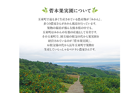 みかん 約3kg(2S-Lサイズ)《11月中旬-1月中旬頃出荷》 【日付指定不可】 菅本果実園