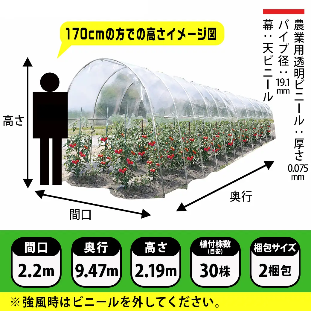 雨よけハウス【2畝用】〈AM-2294〉〔DI-J401〕_(都城市) 雨よけハウス 敏感 夏物野菜を守る 収穫を確保 夏野菜 組立簡単 完全組立式 障害や病気対策 30株 2畝用