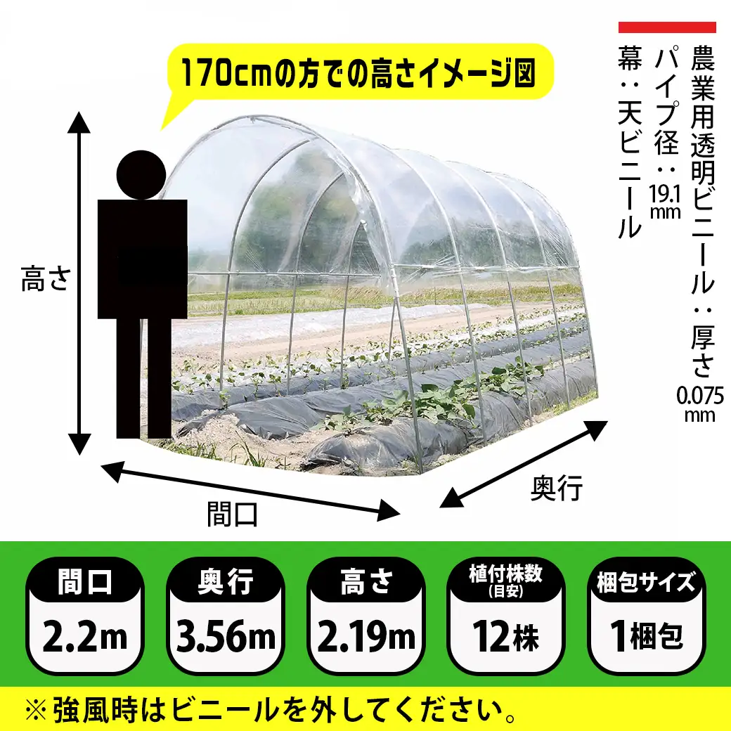 雨よけハウス【2畝用】〈AM-2235〉〔AF-J404〕_(都城市) 雨よけハウス 敏感 夏物野菜を守る 収穫を確保 夏野菜 組立簡単 完全組立式 障害や病気対策 12株 2畝用