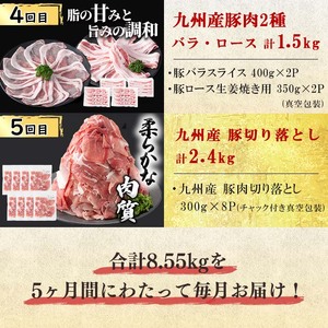 【定期便全5回】生活支援定期便(5ヶ月連続・総量8.5kg以上)国産牛 九州産 豚 豚肉 肉 牛肉 黒毛和牛 切り落し 国産 しゃぶしゃぶ 豚バラ 切り落し 大容量 人気 小分け 真空包装 t0063-002
