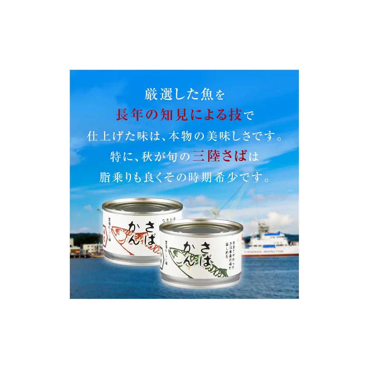 【2月配送】さば缶詰 味噌煮・水煮 24缶 サバ缶 鯖 国産
