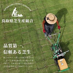芝生(省管理型コウライ芝　TM9ティーエムナイン)２束セット※2平米分