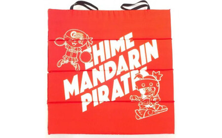 【愛媛県共通返礼品】愛媛マンダリンパイレーツ応援3点セット