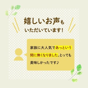 自家製伊予柑ピールとチョコレートのグラノーラ（150g×1袋）｜朝食 グルメ 伊予柑 伊予柑ピール チョコレート グラノーラ りんご 干しりんご アーモンド クルミ カシューナッツ レーズン ナッツ フルーツ ココア風味 里山グラノーラ アイス トッピング ミニパフェ おやつ お菓子 菓子工房 ザクザク食感 自然の恵み 甘酸っぱさ 濃縮 お取り寄せ ギフト 手作り 人気 オリジナル 愛媛 久万高原町