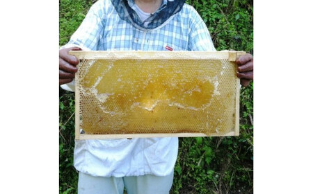 はちみつ「山と海のはちみつセット（150ｇ×2個）」｜純粋 国産 蜂蜜 ハニー 蜂 ギフト 贈答 朝食
スイーツ パン アイス 無添加 愛媛 久万高原町
