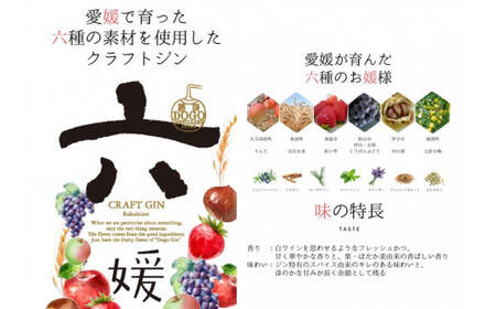 水口酒造 道後ジン「六媛」・トニックセット（G6-500）