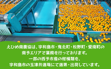 ＜温州みかん（早生）約10kg＞ 果物 フルーツ みかん ミカン 蜜柑 オレンジ 柑橘 うんしゅうみかん ウンシュウミカン わせ ワセ 食べて応援 特産品 JA えひめ南農業協同組合 愛媛県 西予市【常温】『2025年10月下旬から11月下旬迄に順次出荷予定』OEM0005