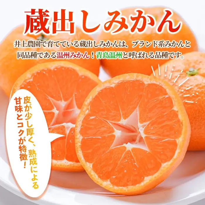 ＜先行予約受付中！1月下旬より順次発送予定＞大分県宇佐市産 蔵出し みかん(約10kg)ミカン 蜜柑 柑橘 フルーツ 果物 くだもの 果実 国産 熟成【103690200】【井上農園】