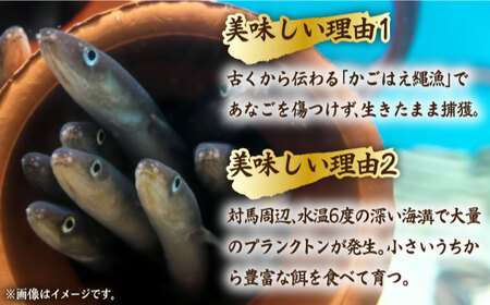 【全2回定期便】骨まで食べる 白焼き あなご （5袋）穴子 白焼 海鮮 国産 フワフワ 魚介 特産物 [WAI117]