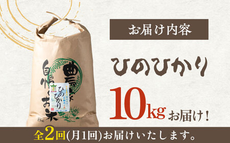 【全2回定期便】対馬産 ひのひかり 10kg「ほたる舞う三根川の米」  米 お米 弁当 白米 弁当 [WAJ023]