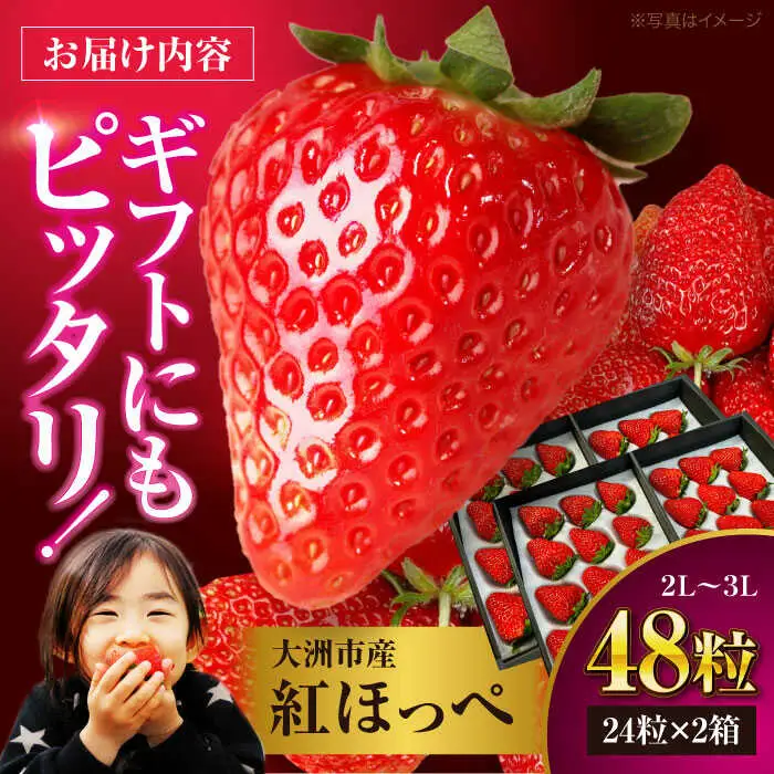 いちご 2パック（紅ほっぺ）いちご[AGAR002]
