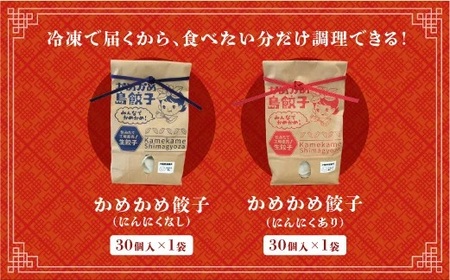 かめかめ島餃子 (豚肉/にんにくあり・なし) 30個 × 2袋 | 包みたて 工場直売 餃子 シママース | 簡単調理 手軽 | 豚肉 出汁 沖縄 お取り寄せ グルメ 冷凍