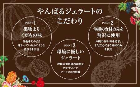 沖縄の素材を活かしたやんばるジェラート 12個セット アイスクリーム アイス ジェラート