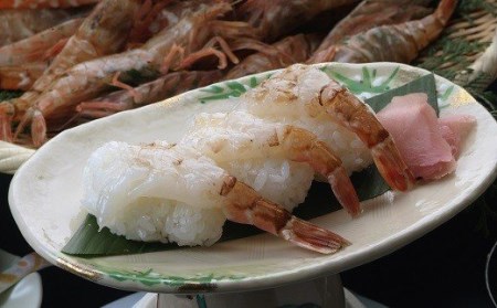 【先行予約】幻のえび モサエビ 1kg｜鳥取 岩美 海老 エビ えび 幻のえび 先行予約 冷蔵【23001】