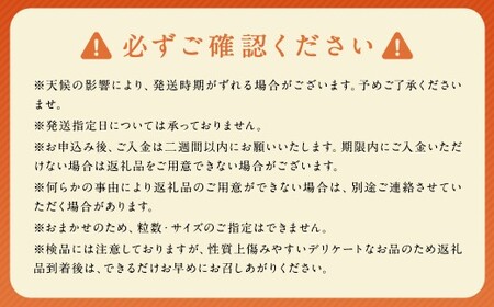 長崎県産 温州みかん 3kg 個数・サイズ おまかせ ／ フルーツ 果物 くだもの 果実 ミカン 蜜柑 柑橘 長崎県 長崎市 川口農園 アフター保証  【2026年11月下旬-2027年1月下旬発送予定】