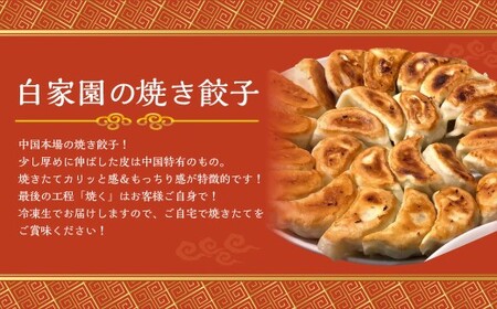 【詰め合わせ】ぶたまん20個×焼餃子10個×焼小籠包8個 中華 豚まん 餃子 ぎょうざ ギョーザ 小籠包 惣菜
