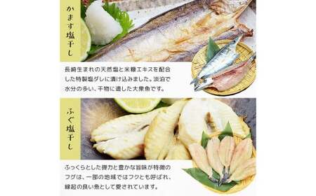 海鮮三昧 ひものセット ／ 干物 魚介 海鮮 魚 おつまみ 肴 セット ふぐ フグ 連子鯛 タイ かます あじ 鯵 ぶり 鰤 いかしゅうまい 長崎県 長崎市