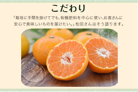 みかん 約5kg (S-2Lサイズ)《11月上旬-12月下旬頃出荷》【日付指定不可】 松田農園