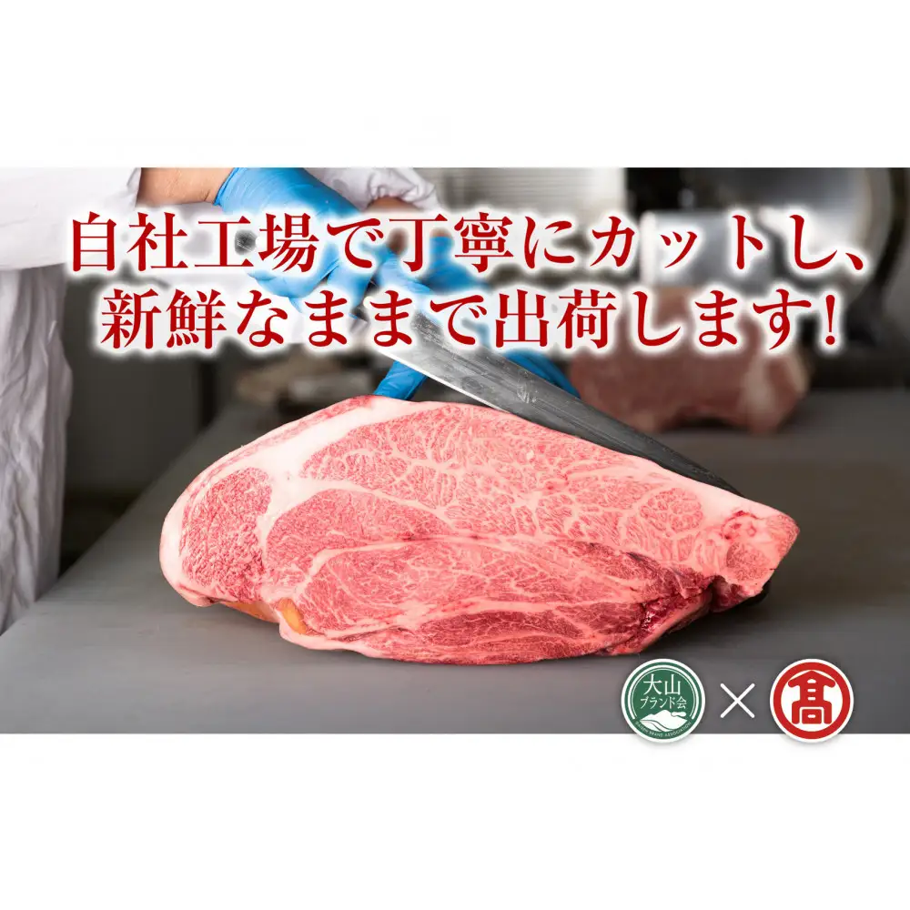 ＜HANAFUSA＞大山黒牛ローススライス(500g)【T-AC8】【大山ブランド会】 【鳥取県 境港市】