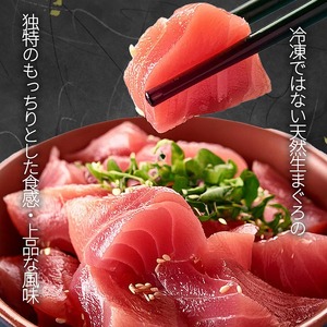 直送！天然生まぐろ 柵 500g ※離島への配送不可