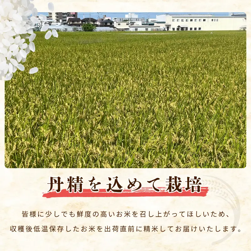 令和８年産 泉佐野産あきたこまち 10kg