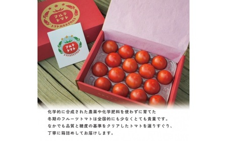 ＜2027年1月～5月頃まで発送＞アルテトマト  約800g（10～16玉）×1箱 フルーツトマト 高知県 佐川町 トマトハウスナカムラ 【常温】 栽培期間中化学農薬・化学肥料不使用 有機JAS　
