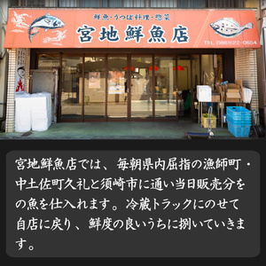 【ふるさと納税】【冷蔵】 かつおのたたき 麦藁焼 カツオ （約600～700g） タタキ 特選 鰹のたたき 1～3節 薬味・たれ付き 日本郵便で発送 事前連絡しています 高知県 佐川町 宮地鮮魚店 冷蔵でお届け 受付中 久礼 海鮮 ＜5~6ヶ月程度で発送 ＞