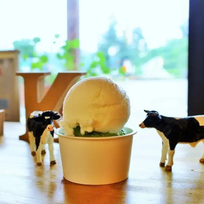 海と山のコラボアイスセット（12個）【 アイスクリーム 食べ比べ カップアイス 12個入 ミルク キャラメル セット 詰め合わせ 贈り物 贈答 プレゼント 人気 アイス あいすくりーむ 手作り フレッシュミルク 焼きいも バニラ 抹茶 藻塩ヨーグルト 】Ａ-21