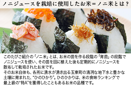 令和6年産  ひのひかり(ノニ米) 10kg(5kg×2袋)コノCAFE《30日以内に出荷予定(土日祝除く)》｜人気米 熊本県産米 お米 生活応援米 st-p st-p