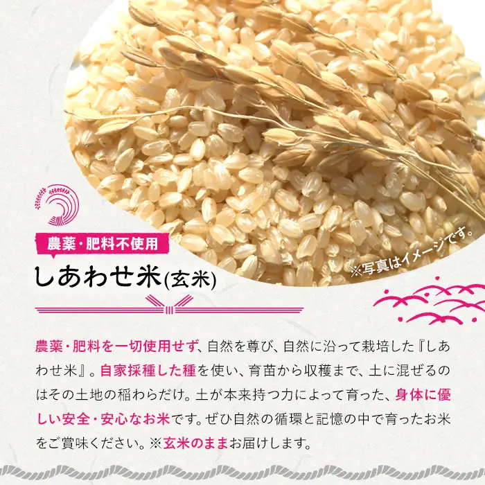 ＜先行予約受付中！2026年11月上旬以降順次発送予定＞＜令和8年産＞しあわせ米 玄米(計5kg) お米 5キロ 常温 常温保存 【101000402】【宇佐本百姓】