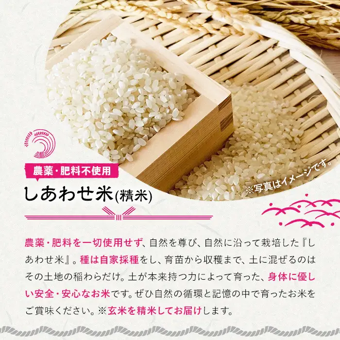 ＜先行予約受付中！2026年11月上旬以降順次発送予定＞＜令和8年産＞しあわせ米 精米(計10kg・5kg×2袋) お米 白米 10キロ 常温 常温保存 【101000702】【宇佐本百姓】