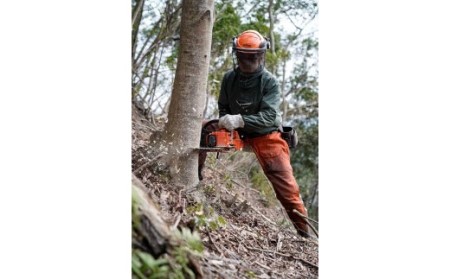 薪 五名の薪 森のちから 薪【20kg×10箱】【定期便3ヶ月】