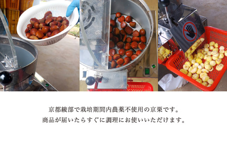 訳あり 栗 1kg 生むき栗 12月発送［BSAR015］
