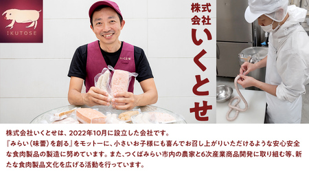 国産 豚 職人が作る ドイツ 粗挽き ソーセージ【 小麦粉 卵 砂糖 不使用 】24本 計650g