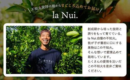 ジューシーオレンジ 約10kg（20玉前後）　【2027年4月上旬-2027年5月下旬発送予定】