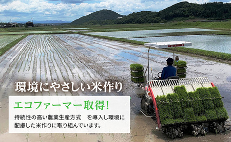 ヒノヒカリ 令和6年産 白米 単一原料米 ヒノヒカリ【3kg×2袋】【予約受付】