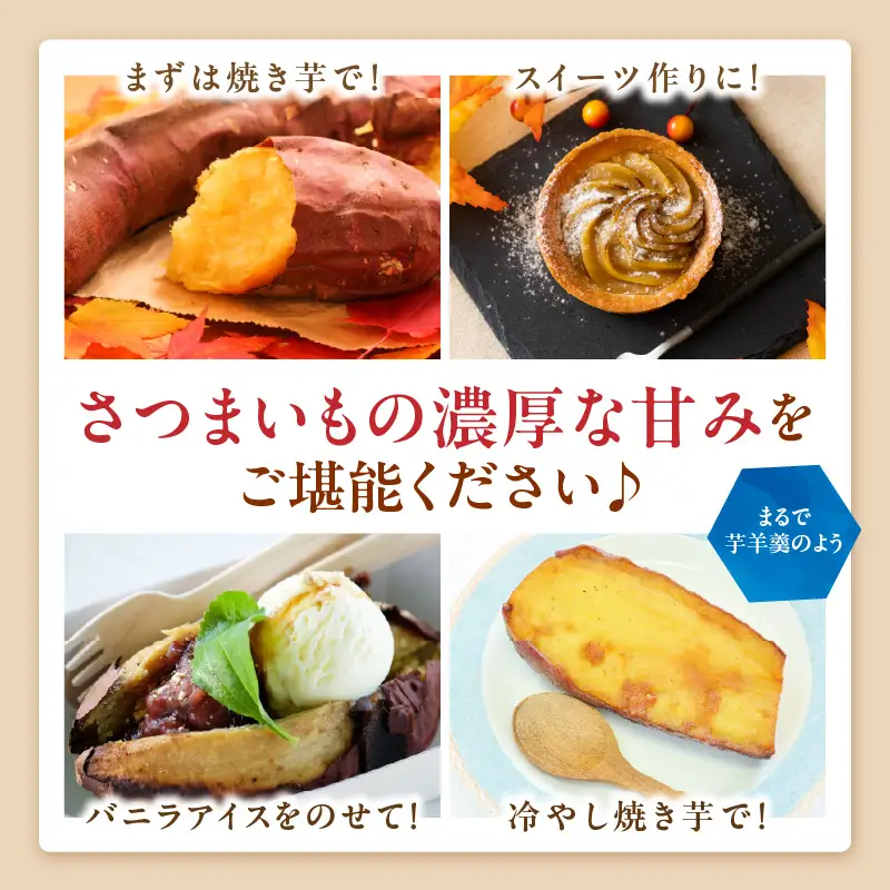 【さつまいも】【先行予約】日本一のさつまいも 2.5kg｜2026年11月中旬から発送
