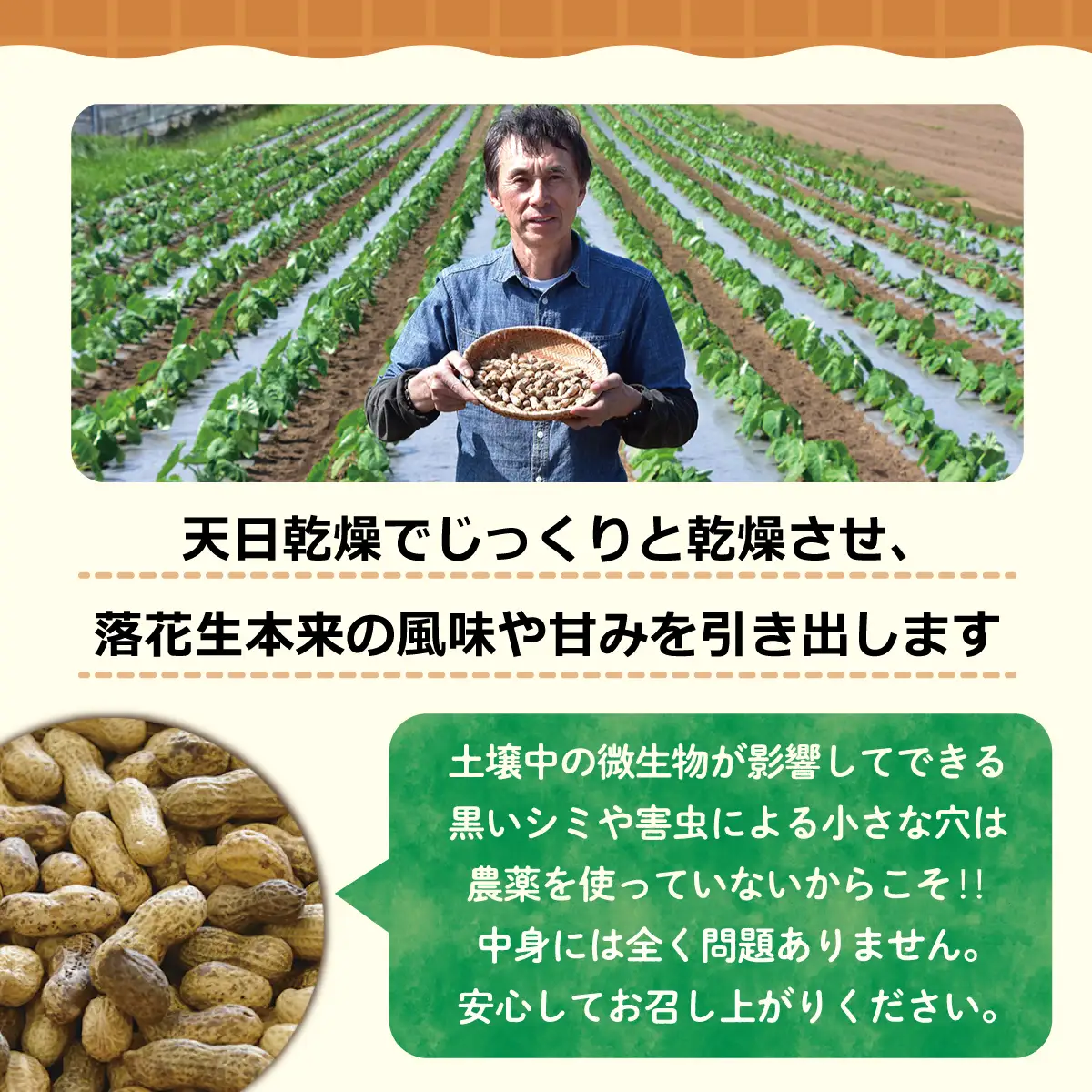 【先行予約】【12月上旬から発送】千葉県産 カラ煎り落花生 千葉半立 1.2kg（200g×6） SMF005